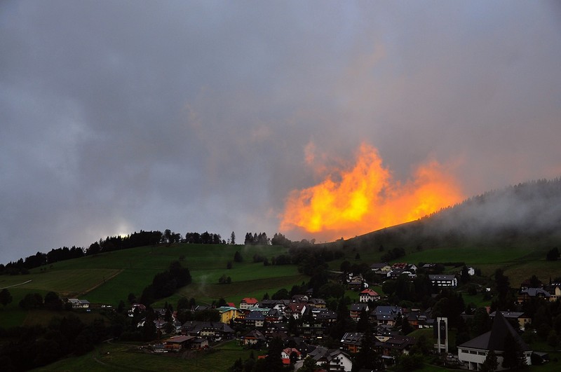 שקיעה ביער השחור