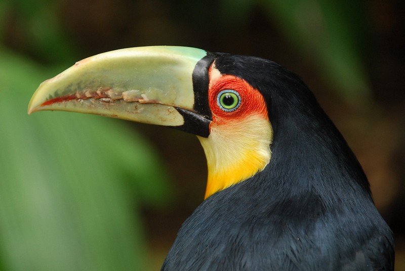 עקרון ההכבדה