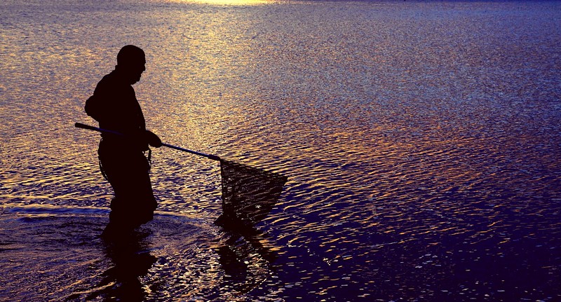 נגיעות של זהב