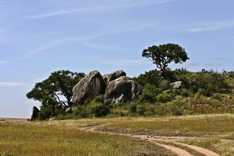 סלעי הקופיס'
