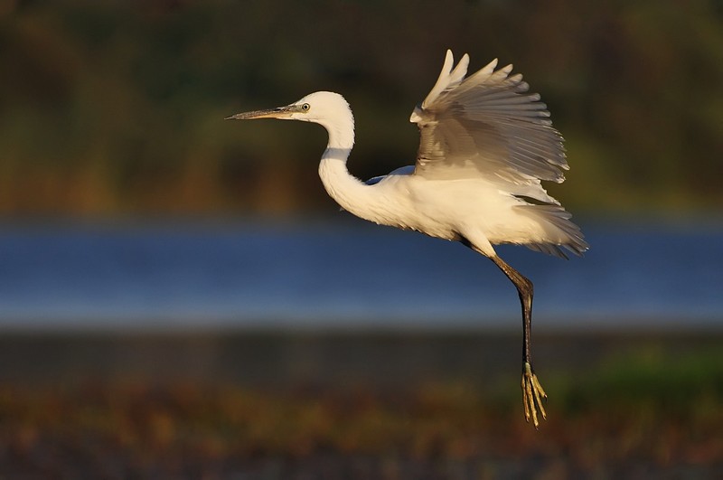 יבשה ,ים ,יבשה