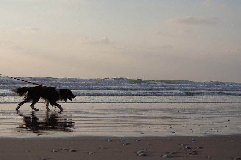 נהנה מהחופש
