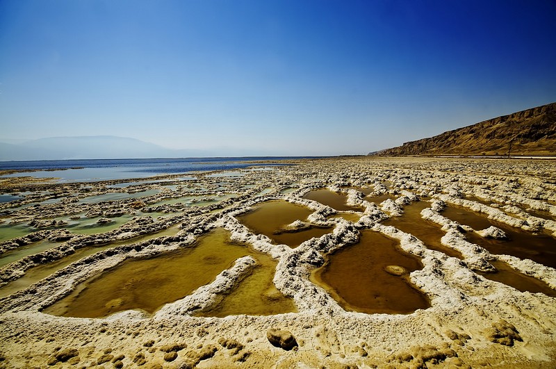 צילום: דורון בראונשטיין