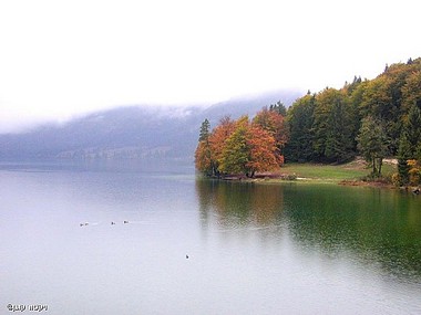 צילום: ויקטור קוגן
