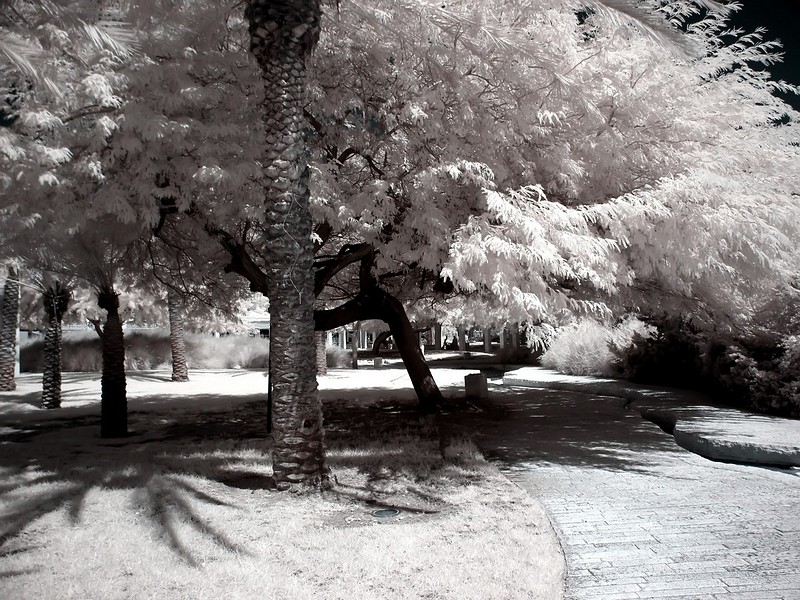 שיגיע החורף...
