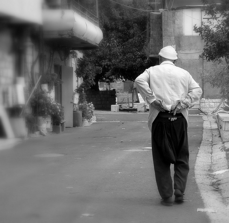 צילום: הדר דקל