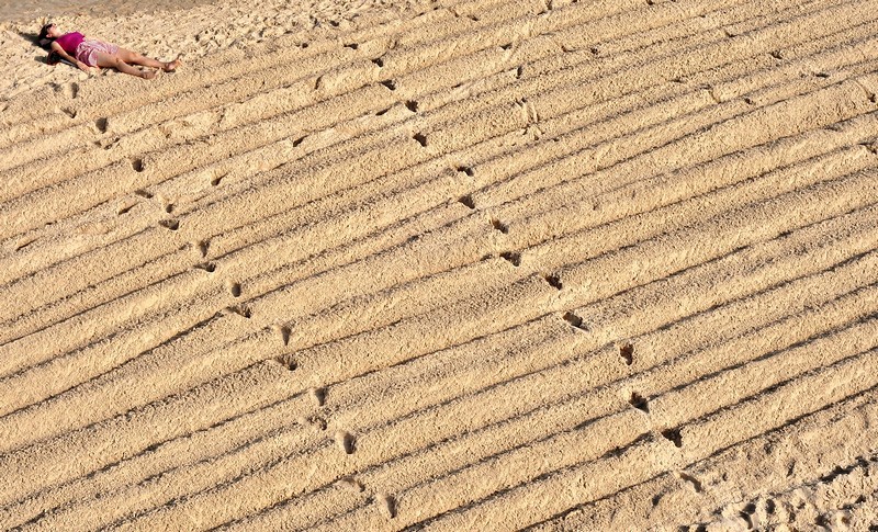 לאן מובילות העקבות?