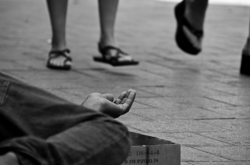 צילום: אילנה  סילבן