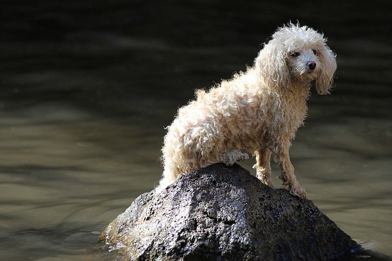 בעמדת תצפית