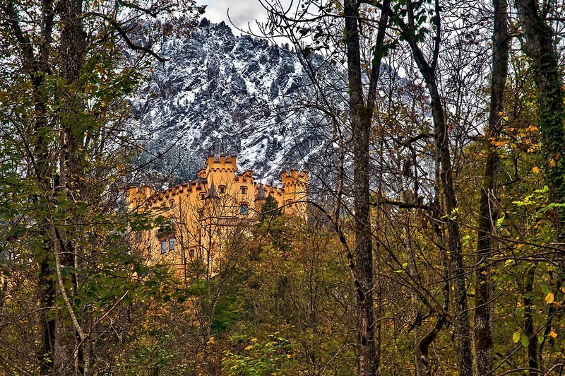 צילום: דורון בראונשטיין