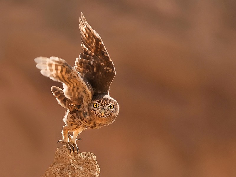 שניה  לפני  המראה