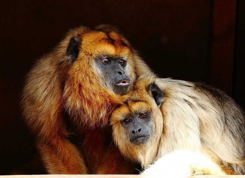 מה קורה שם ?