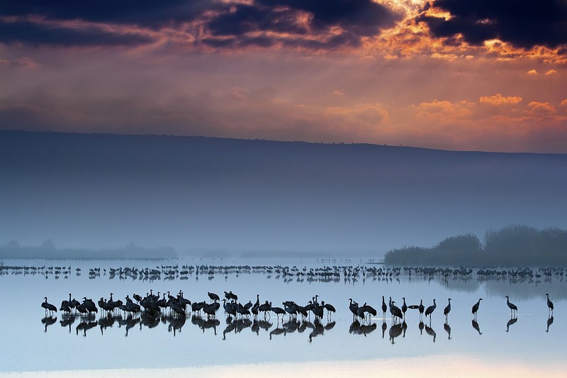 חוק השלישים