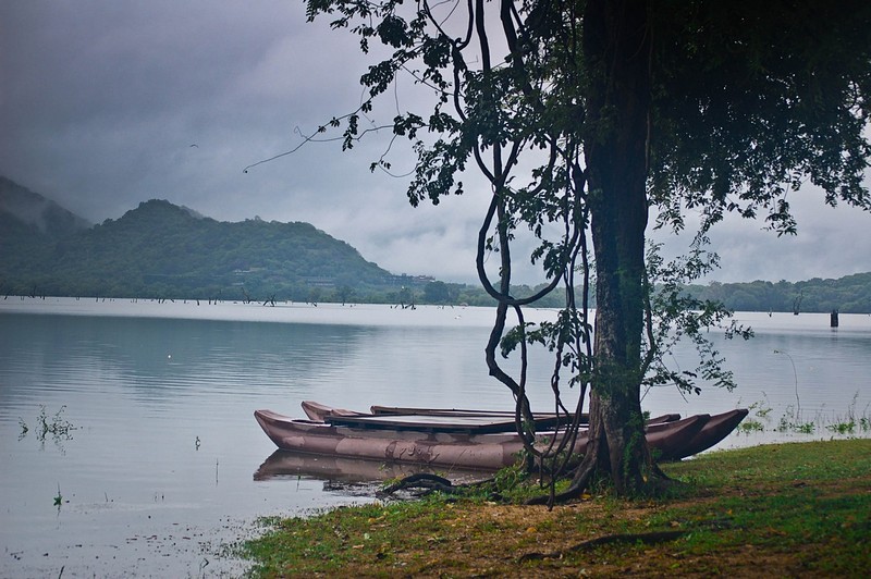 על שפת האגם