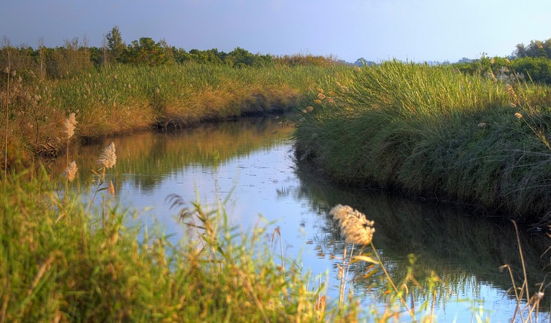 5 דקות מן העיר הסואנת