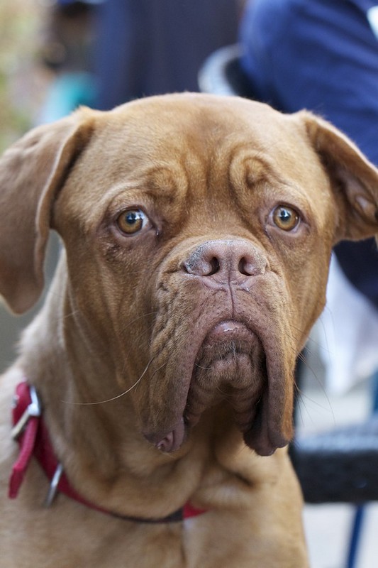 צילום: רינת טובלי