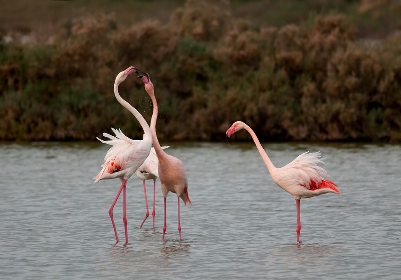 לא ליד הילדים..