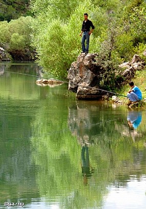 העולם שמתחת