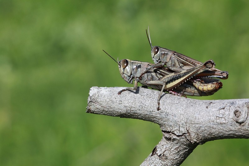 נא לא להפריע