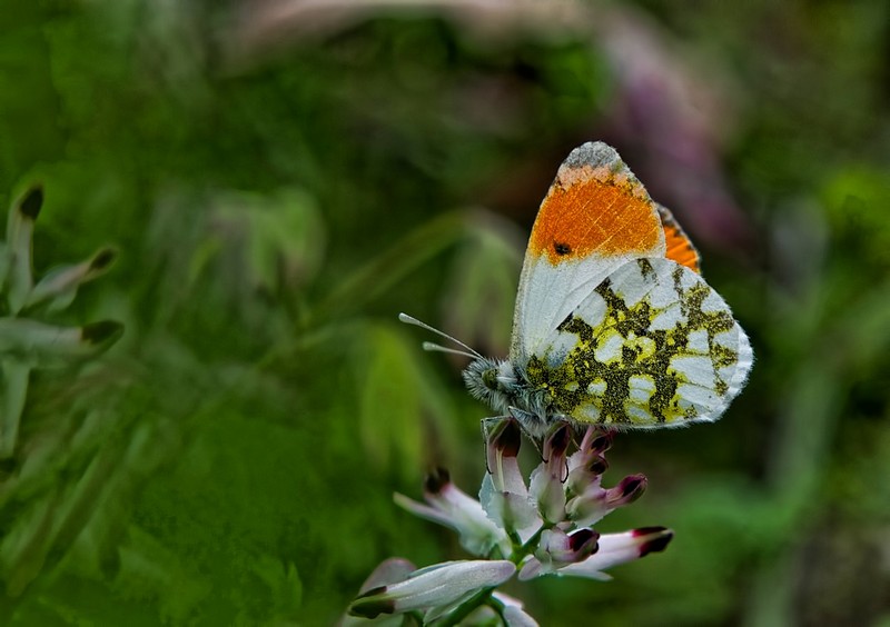 בחצר ליד הבית