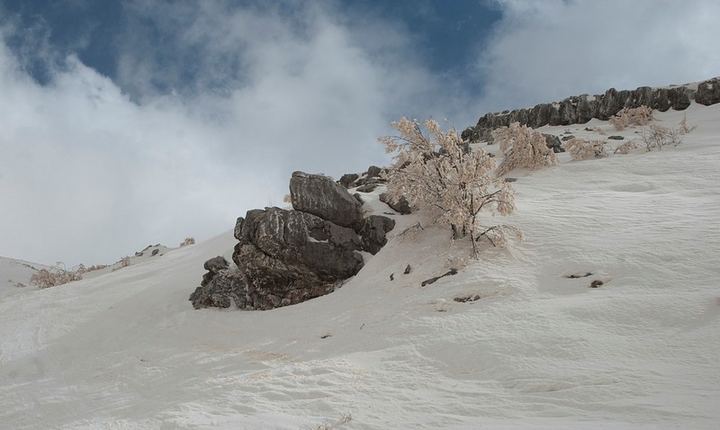 צילום: אריאל גרין