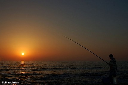 דג את השקיעה