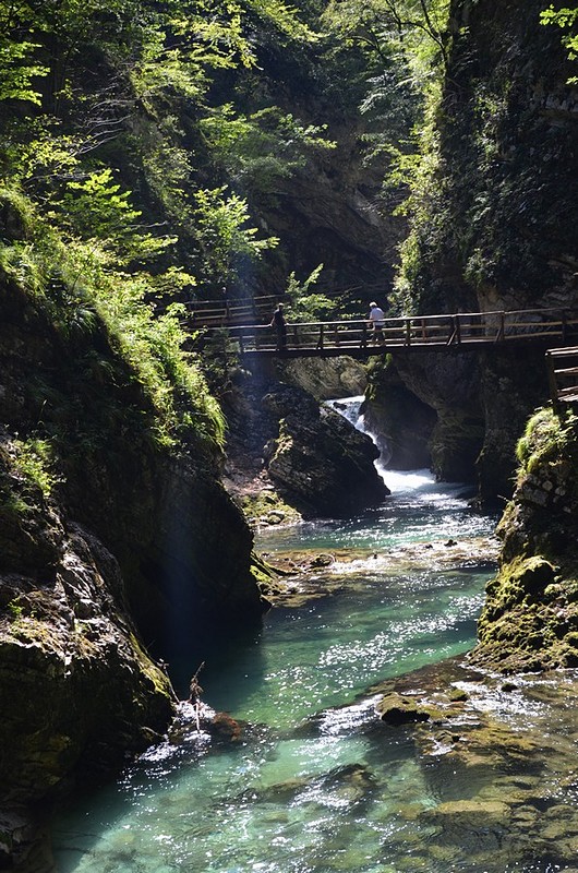צילום: עידן צביקה  גיטרמן