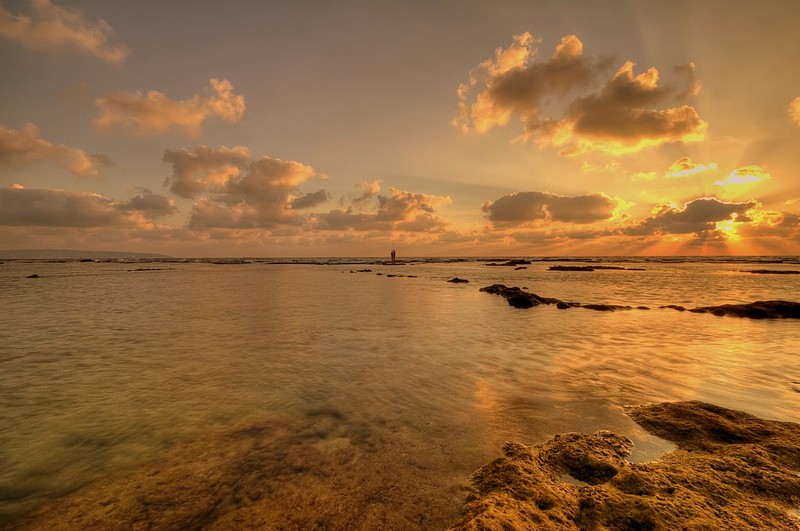 חלום של גוונים