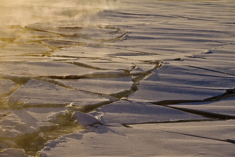 ארטיק מגנום