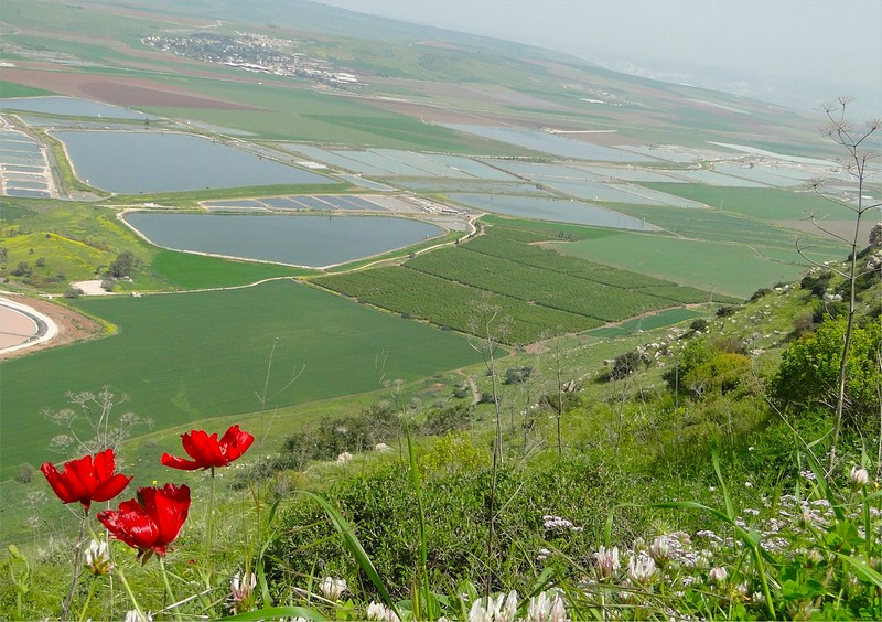 הגְרָצְיות והעמק
