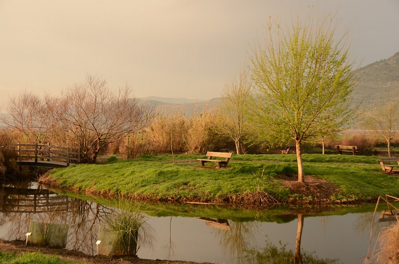 צילום: יאמן טרביה 