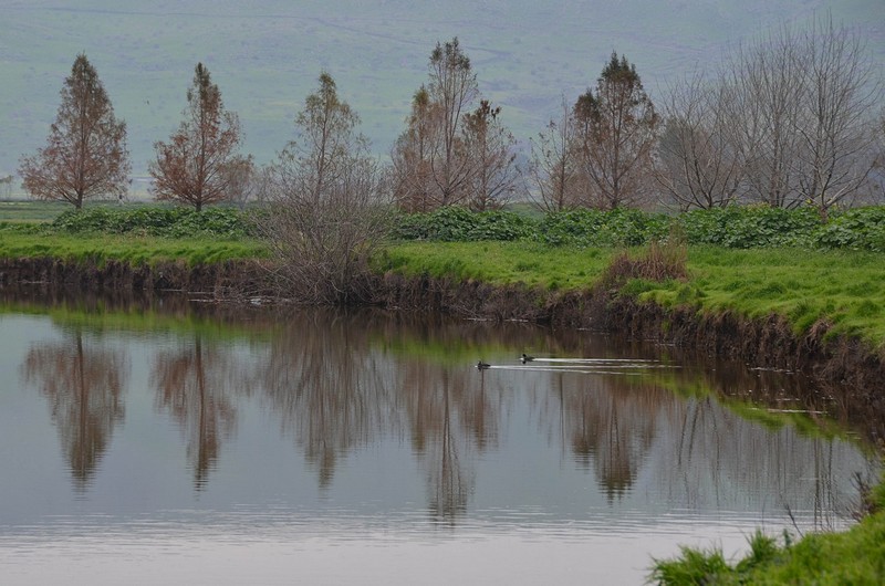 צילום: יאמן טרביה 