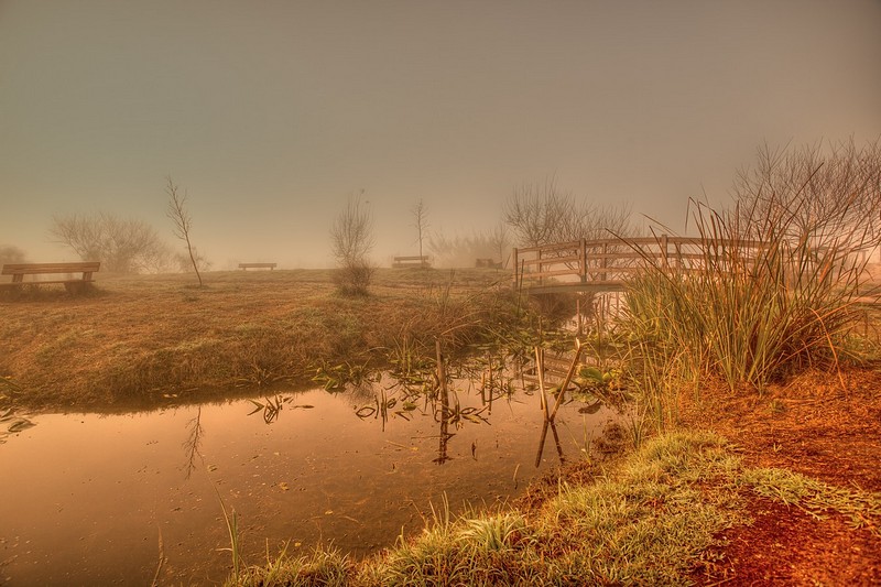 בוקר של אביב