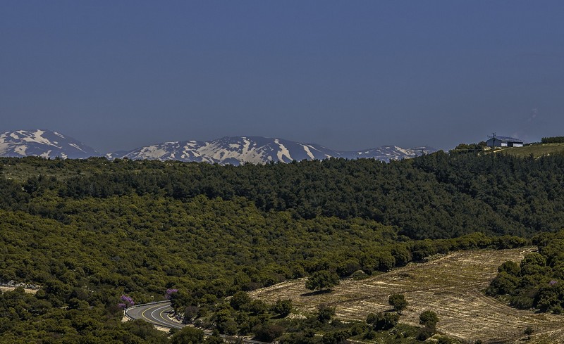 מבט אל החרמון