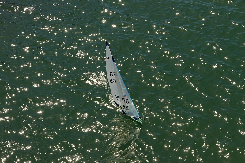 בודד במערכה