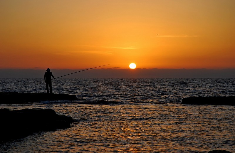 עוד דג והולכים הביתה