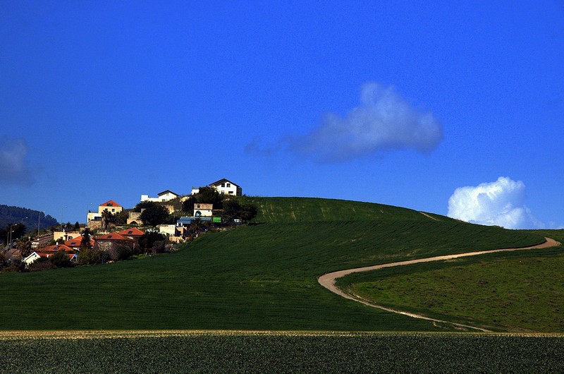 ..על גבעה בנה לו בית