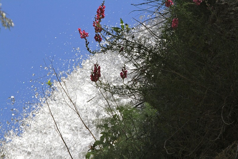 צילום: רינת טובלי