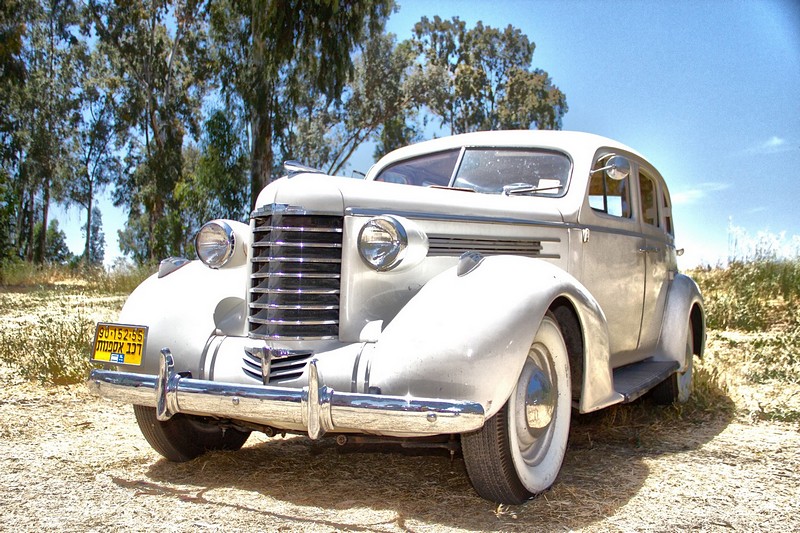 צילום: מירון יהב