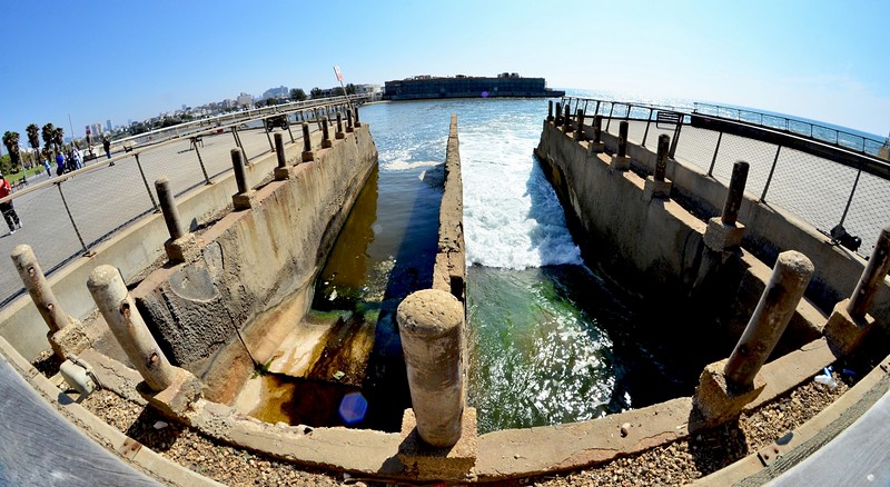 בים עם עין דג