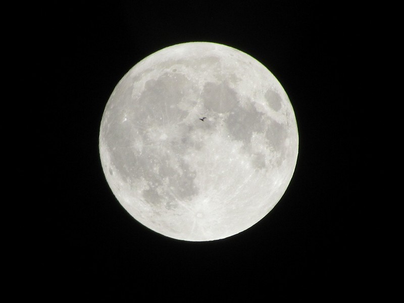 כדור בדולח ובונוס