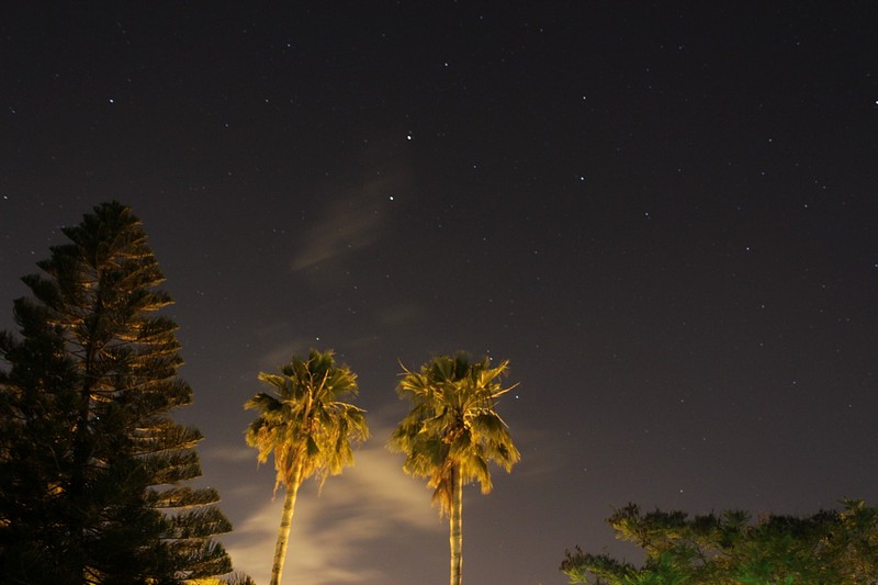 צילום: דור יזומבק