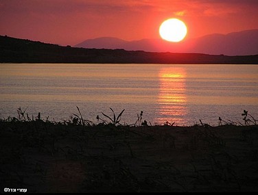 שקיעה בלגונה