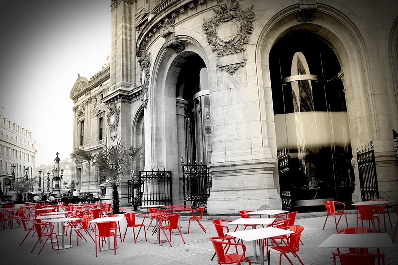 צילום: שלמה הופנר