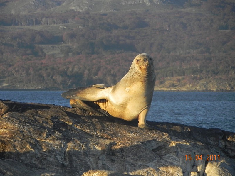 צילום: עדנה ברקאי