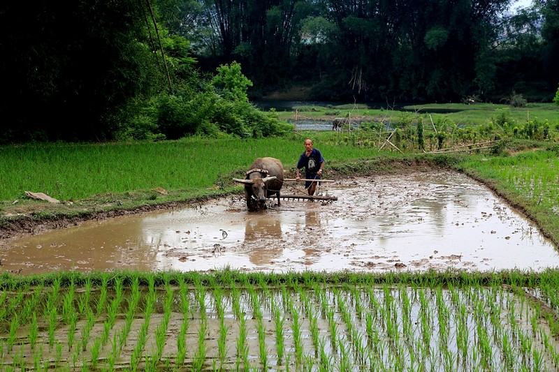 הצד השני של המטבע
