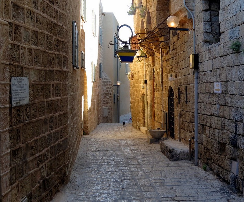 סימטה יפואית