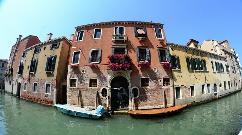 ונציה ממבט הדג