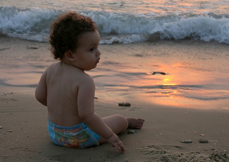צילום: טל שחר