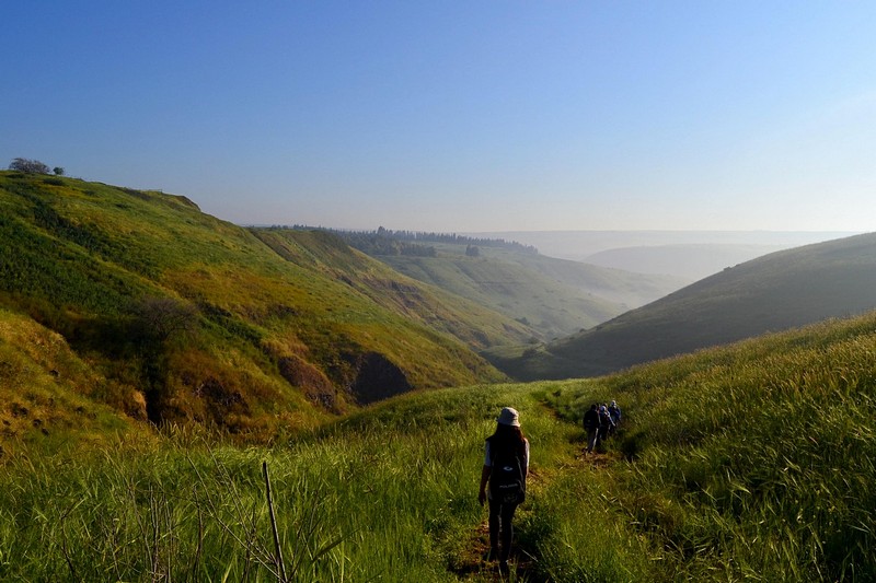 צילום: דרור מנחם